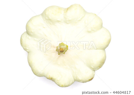 summer white pattypan squash 44604817