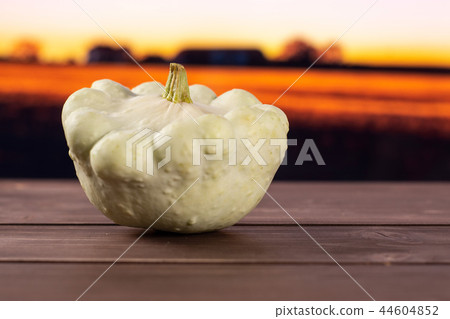 summer white pattypan squash summer white pattypan squash 44604852