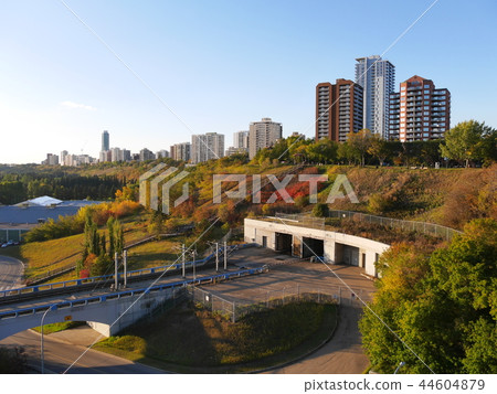 摩天大樓和秋葉在街市埃德蒙頓,加拿大 摩天大樓和秋葉在街市埃德蒙頓,加拿大 44604879