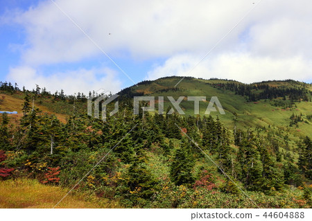 會津Komagatake 會津Komagatake 44604888