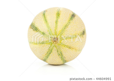 fresh melon cantaloupe variety fresh melon cantaloupe variety 44604991