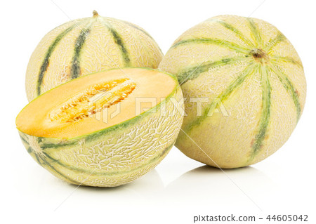 fresh melon cantaloupe variety fresh melon cantaloupe variety 44605042