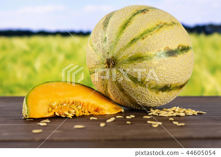 fresh melon cantaloupe variety 44605054