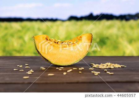 fresh melon cantaloupe variety 44605057