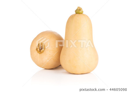 Smooth pear shaped orange butternut squash waltham Smooth pear shaped orange butternut squash waltham 44605098