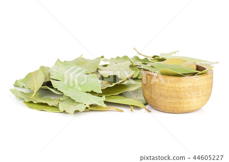 Dry olive green bay laurel leaves isolated Dry olive green bay laurel leaves isolated 44605227