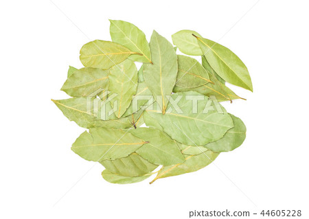 Dry olive green bay laurel leaves isolated Dry olive green bay laurel leaves isolated 44605228