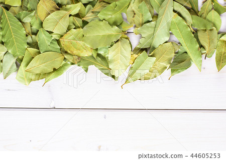 Dry olive green bay laurel leaves on grey wood Dry olive green bay laurel leaves on grey wood 44605253