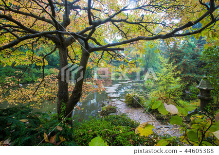 Japanese garden.  Leverkusen 44605388