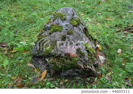 Natural stone texture 44605511