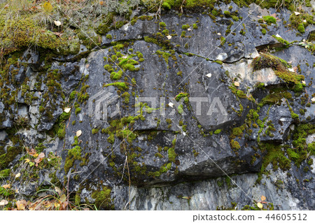 Natural stone texture Natural stone texture 44605512