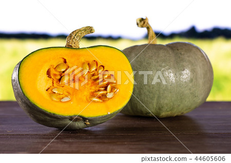 Fresh blue grey pumpkin nagy dobosi with field 44605606