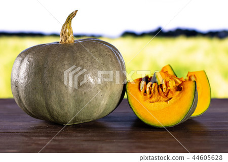 blue grey pumpkin nagy dobosi with field behind 44605628