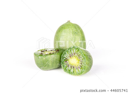 Fresh green mini baby kiwi fruit isolated on white Fresh green mini baby kiwi fruit isolated on white 44605741