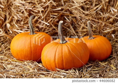 Orange halloween pumpkins on stack of hay or straw Orange halloween pumpkins on stack of hay or straw 44606082