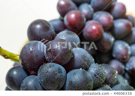 Grapes (Assorted) 44606338