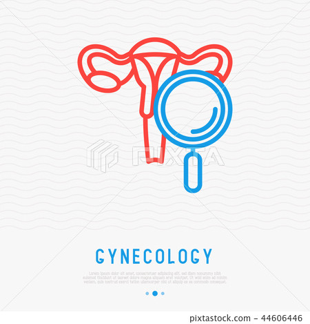 Uterus with magnifier thin line icon 44606446