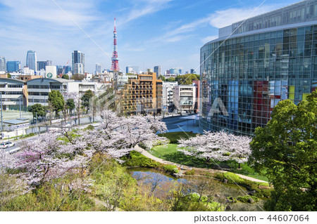 Tokyo Roppongi Hills Cherry blossom garden cherry blossoms 44607064