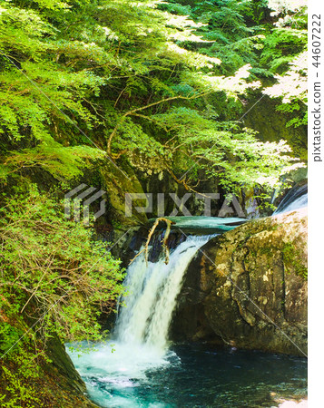 Nishizawa Valley Ryujin Waterfall 44607222
