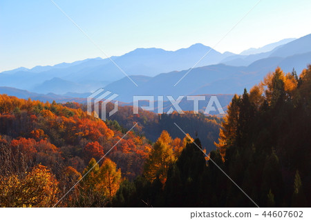 Beautiful Northern Alps, part 20181017: Beautiful leaves of Shinshu part 20181017 Beautiful Northern Alps, part 20181017: Beautiful leaves of Shinshu part 20181017 44607602