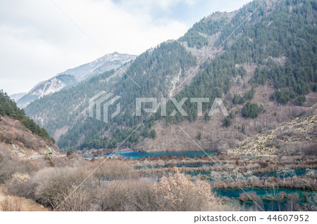 Forest mountains over the river Forest mountains over the river 44607952
