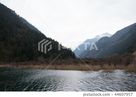 Forest mountains over the river Forest mountains over the river 44607957
