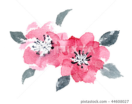 茶花水墨畫 44608027