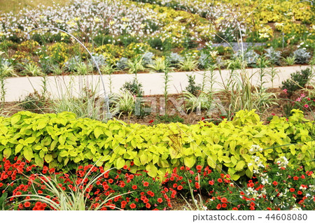 Warm color scheme flower bed 44608080