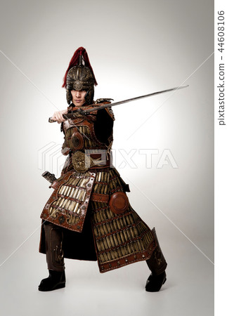 General, armor, armed General, armor, armed 44608106