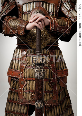 General, armor, armed 44608109