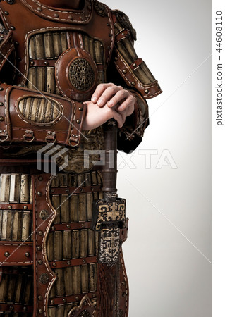 General, armor, armed 44608110