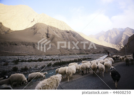 mountain road in tibet 44608250