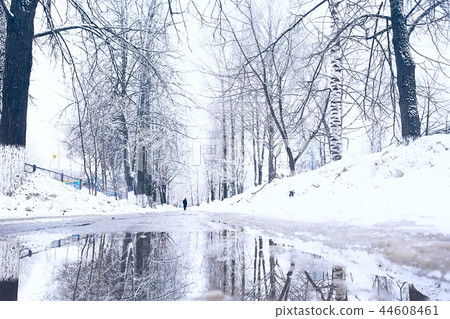 winter landscape / snow-covered trees covered with snow, concept of winter weather, cold climate, north. Christmas landscape in the city park. Without people. winter landscape / snow-covered trees covered with snow, concept of winter weather, cold climate, north. Christmas landscape in the city park. Without people. 44608461