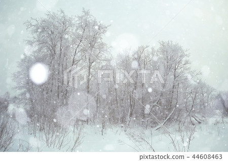 Winter landscape in Russia Winter landscape in Russia 44608463