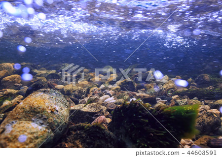 underwater mountain clear river / underwater photo in a freshwater river, fast current, air bubbles by water, underwater ecosystem landscape underwater mountain clear river / underwater photo in a freshwater river, fast current, air bubbles by water, underwater ecosystem landscape 44608591