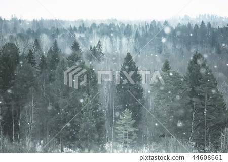 snow fog landscape snowfall / winter landscape cold seasonal weather, nature in winter form, foggy outside 44608661