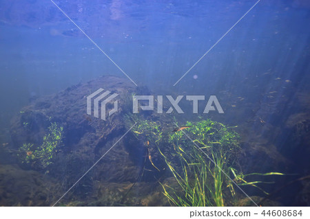 underwater mountain clear river / underwater photo in a freshwater river, fast current, air bubbles by water, underwater ecosystem landscape 44608684