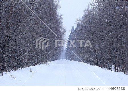 snow fog landscape snowfall / winter landscape cold seasonal weather, nature in winter form, foggy outside snow fog landscape snowfall / winter landscape cold seasonal weather, nature in winter form, foggy outside 44608688