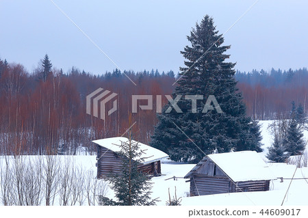 wooden houses in the Russian countryside / wooden architecture, Russian provincial landscape, winter view village in Russia 44609017