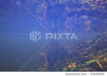 underwater mountain clear river / underwater photo in a freshwater river, fast current, air bubbles by water, underwater ecosystem landscape underwater mountain clear river / underwater photo in a freshwater river, fast current, air bubbles by water, underwater ecosystem landscape 44609060