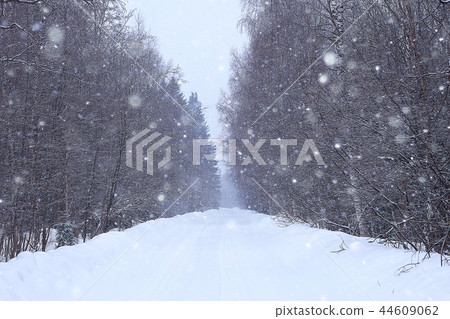 snow fog landscape snowfall / winter landscape cold seasonal weather, nature in winter form, foggy outside snow fog landscape snowfall / winter landscape cold seasonal weather, nature in winter form, foggy outside 44609062