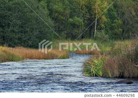 river trees grass summer landscape river trees grass summer landscape 44609298