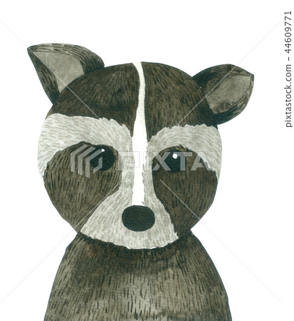 Raccoon cartoon watercolor on white background Raccoon cartoon watercolor on white background 44609771