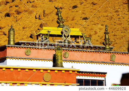in a Buddhist monastery in Tibet 44609928