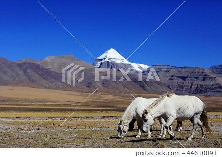 Sacred Mountain Kailas 44610091
