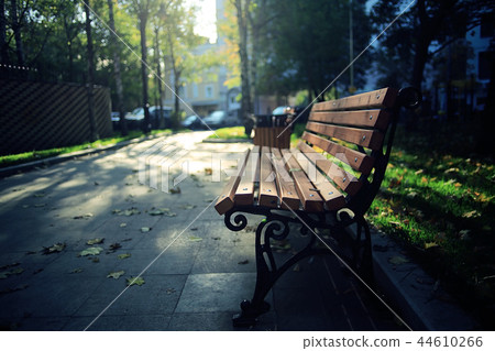 amazing autumn landscape in the city park amazing autumn landscape in the city park 44610266