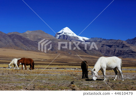 Sacred Mountain Kailas 44610479