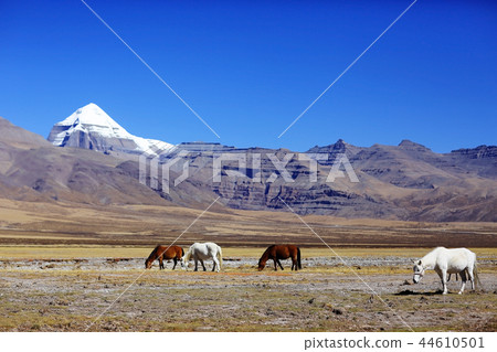 Sacred Mountain Kailas Sacred Mountain Kailas 44610501