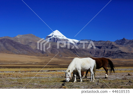 Sacred Mountain Kailas Sacred Mountain Kailas 44610535