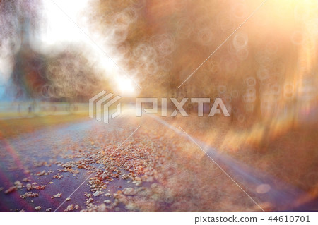 background blur road autumn sunbeams glare background blur road autumn sunbeams glare 44610701